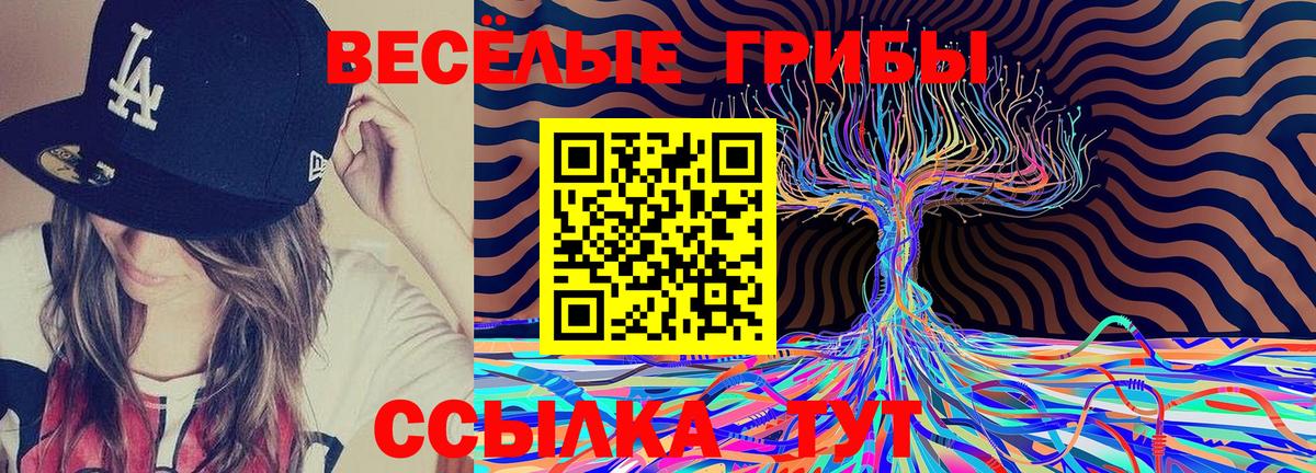 Псилоцибиновые грибы MAGIC MUSHROOMS Санкт-Петербург